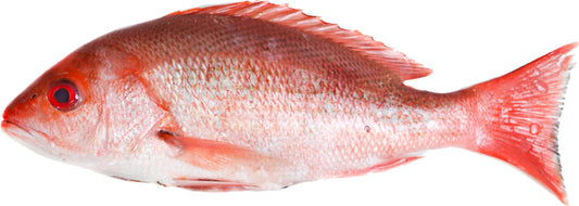 (FISH FROZEN) Red* Snapper - Pangas (W/R 300-500) BOX 10 kg.