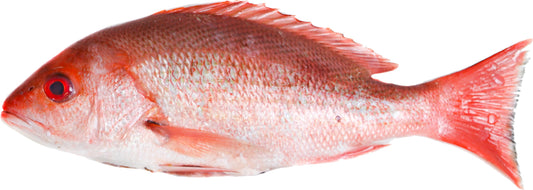 (FISH FROZEN) Red* Snapper - Pangas BOX W/R 500-800 1 x 10 kg.