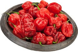 (HOT PEPPER) Pepper Hot Pili-Pili Red Uganda 3.6 kg.